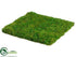 Silk Plants Direct Preserved Grass Mat - Green - Pack of 12