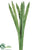 Large Flax Grass - Green - Pack of 6