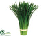 Silk Plants Direct Onion Grass Bouquet Holder - Green - Pack of 12