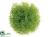 Silk Plants Direct Grass Ball - Green Light - Pack of 24