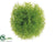 Grass Ball - Green Light - Pack of 24