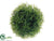 Grass Ball - Green - Pack of 24