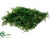 Curly Fern Hanging Mat - Green - Pack of 6