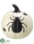 Spider Pumpkin - Cream Black - Pack of 1