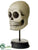 Silk Plants Direct Skull - Beige Black - Pack of 2