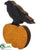 Silk Plants Direct Crow - Black Orange - Pack of 6