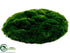 Silk Plants Direct Moss Sheet - Green - Pack of 12