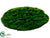 Moss Sheet - Green - Pack of 12