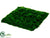 Moss Sheet - Green - Pack of 12