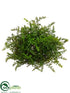 Silk Plants Direct Baby's Tear Fern Ball - Green - Pack of 12