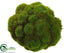 Silk Plants Direct Mood Moss Ball - Green - Pack of 6