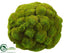 Silk Plants Direct Mood Moss Ball - Green - Pack of 8