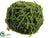 Sphagnum Moss Ball - Green - Pack of 6