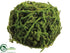 Silk Plants Direct Sphagnum Moss Ball - Green - Pack of 6