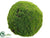 Moss Ball - Green - Pack of 4