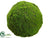 Moss Ball - Green - Pack of 3