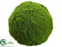Silk Plants Direct Moss Ball - Green - Pack of 3