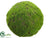 Moss Ball - Green - Pack of 2