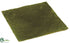 Silk Plants Direct Moss Sheet - Green - Pack of 12