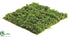 Silk Plants Direct Mountain Sphagnum Moss Sheet - Green - Pack of 12