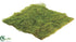 Silk Plants Direct Water Sphagnum Moss Sheet - Green - Pack of 12