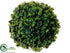 Silk Plants Direct Boxwood Orb - Green - Pack of 12