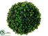 Silk Plants Direct Boxwood Orb - Green - Pack of 12
