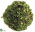 Twig Ball - Green Brown - Pack of 6
