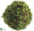 Twig Ball - Green Brown - Pack of 6