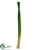 Grass Tube Bundle - Green - Pack of 6