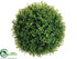 Silk Plants Direct Tea Leaf Ball - Green - Pack of 6