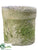 Clay Pot - White Antique - Pack of 12