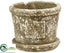 Silk Plants Direct Planter - Green Moss - Pack of 6