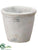 Cement Pot - Whitewashed - Pack of 12