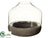 Glass Hurricane - Clear Gray - Pack of 4