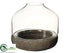 Silk Plants Direct Glass Hurricane - Clear Gray - Pack of 4