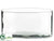 Glass Vase - Clear - Pack of 2