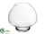 Glass Vase - Clear - Pack of 1