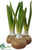 Bulb Vase - Green Brown - Pack of 4
