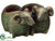 Sheep Planter - Green Brown - Pack of 4