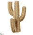 Silk Plants Direct Saguaro Cactus Planter - Beige - Pack of 1