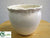 Ceramic Container - Ivory - Pack of 1