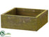 Silk Plants Direct Wood Box - Green - Pack of 6