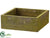 Silk Plants Direct Wood Box - Green - Pack of 6