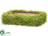 Silk Plants Direct Grass Pot - Green - Pack of 6