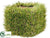 Grass Pot - Green - Pack of 12