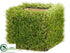 Silk Plants Direct Grass Pot - Green - Pack of 12