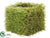 Grass Pot - Green - Pack of 6
