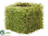 Silk Plants Direct Grass Pot - Green - Pack of 6