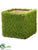 Grass Pot - Green - Pack of 2